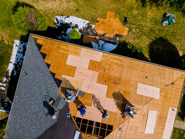 Best Shingle Roofing Installation  in East Highland Park, VA