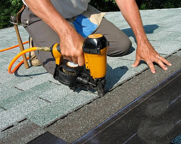 Best Roof Gutter Cleaning  in East Highland Park, VA
