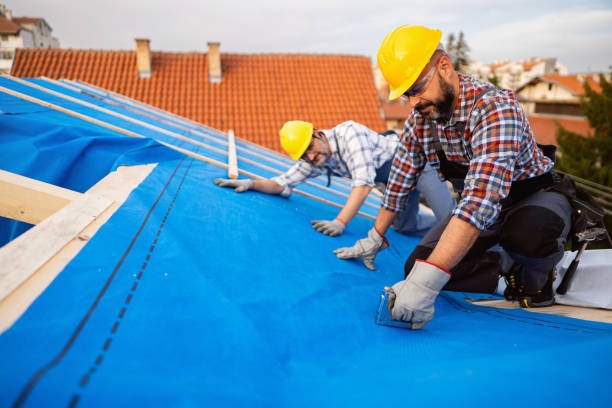 Best Roof Leak Repair  in East Highland Park, VA
