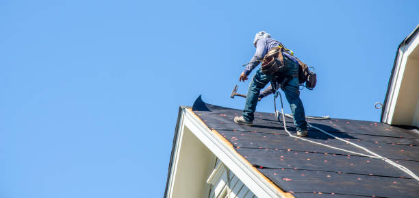 Best Roof Waterproofing Services  in East Highland Park, VA
